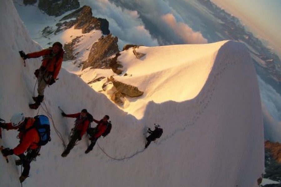 Passaggio dell'Androsace durante la salita alla cresta kuffner al Mont Maudit