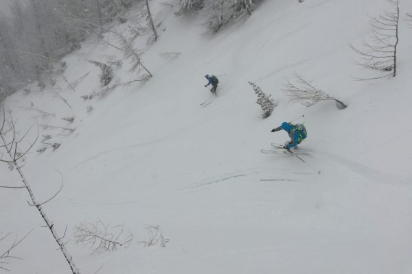 Freeride in Valle d'Aosta con una Guida Alpina
