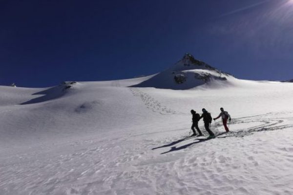 Freeride, l'emozione della prima traccia in neve fresca