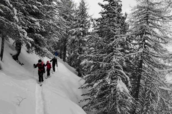 Scoprire lo sci alpinismo con una Guida Alpina